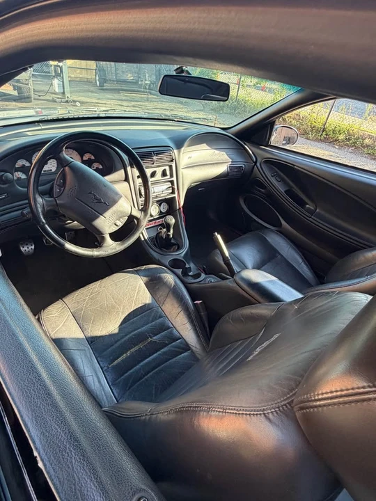 1998 Ford SN95 Mustang - Image 5 of 6