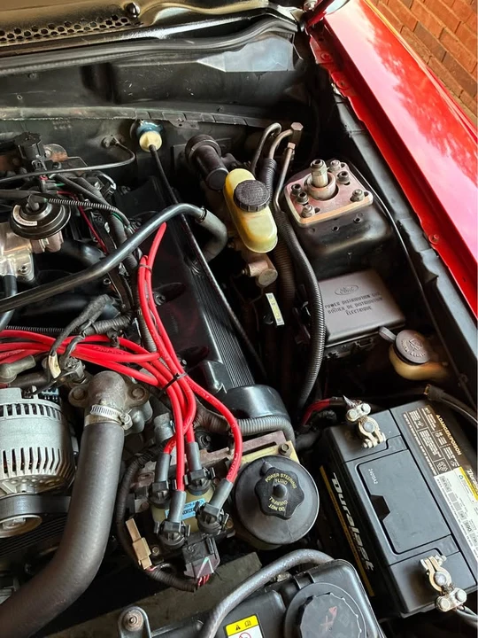 1998 Ford SN95 Mustang - Image 13 of 15