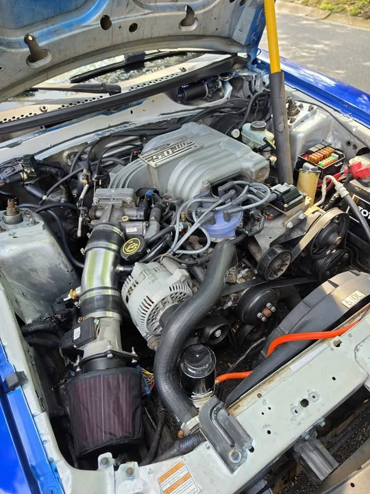 1998 Ford SN95 Mustang - Image 13 of 16