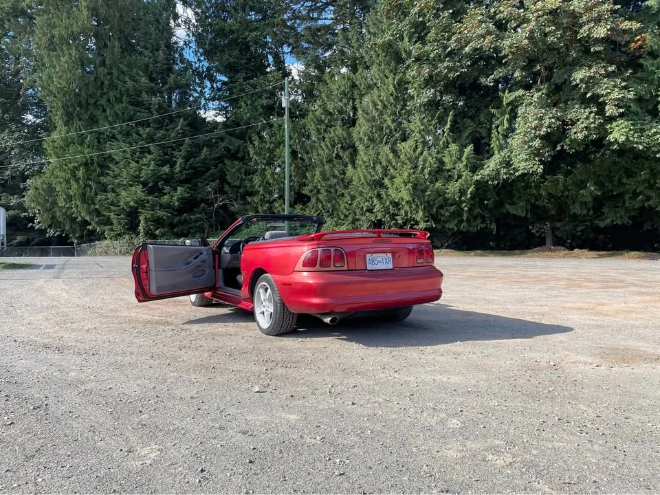 1998 Ford SN95 Mustang - Image 8 of 10