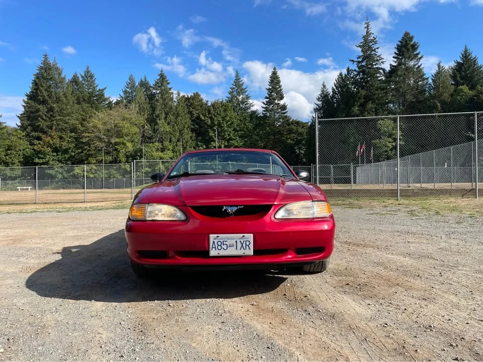 1998 Ford SN95 Mustang - Image 10 of 10