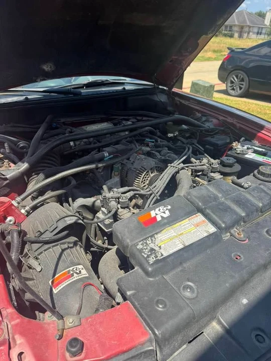 1998 Ford SN95 Mustang - Image 16 of 20
