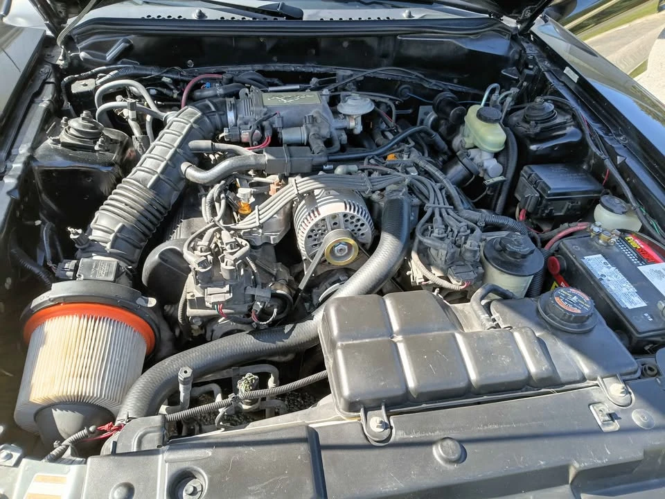 1998 Ford SN95 Mustang - Image 6 of 10