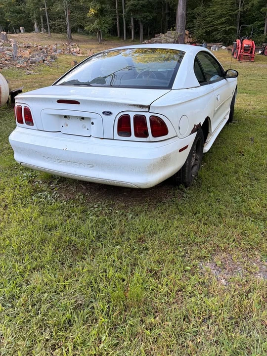 1998 Ford SN95 Mustang - Image 5 of 6
