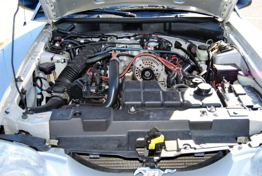 1998 Ford SN95 Mustang - Image 4 of 7