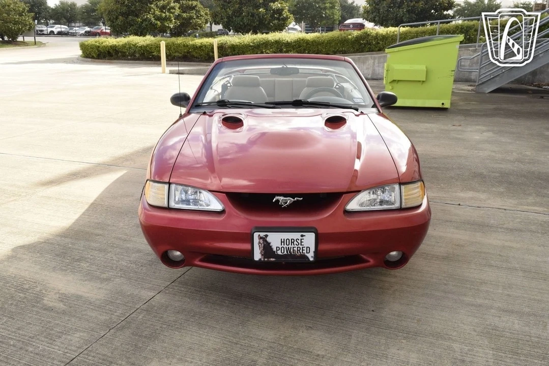 1998 Ford SN95 Mustang Cobra - Image 8 of 21