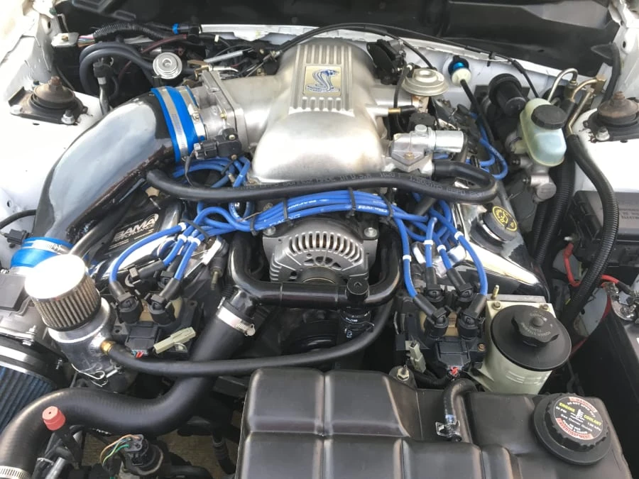 1998 Ford SN95 Mustang Cobra - Image 6 of 12