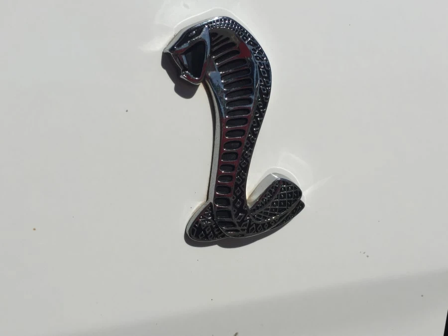 1998 Ford SN95 Mustang Cobra - Image 7 of 9