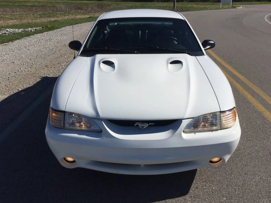 1998 Ford SN95 Mustang Cobra - Image 8 of 9