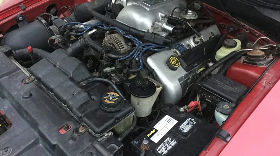 1998 Ford SN95 Mustang Cobra - Image 4 of 5