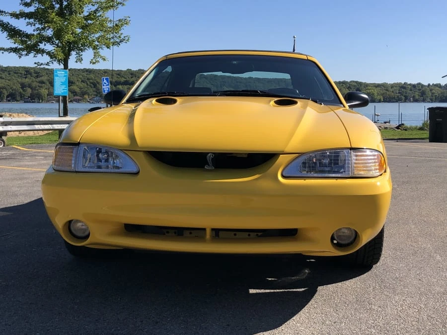 1998 Ford SN95 Mustang Cobra - Image 8 of 9