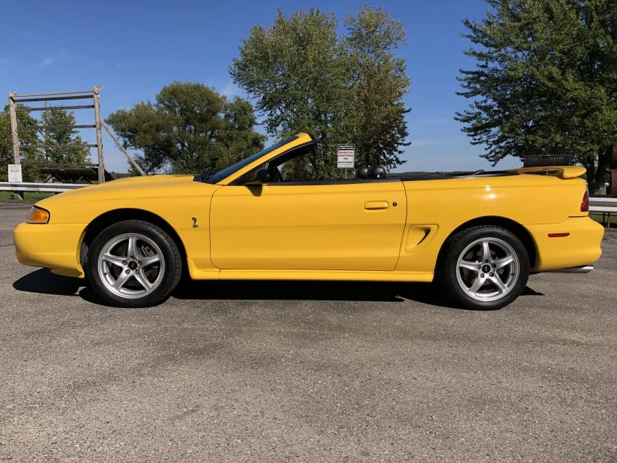 1998 Ford SN95 Mustang Cobra - Image 3 of 9