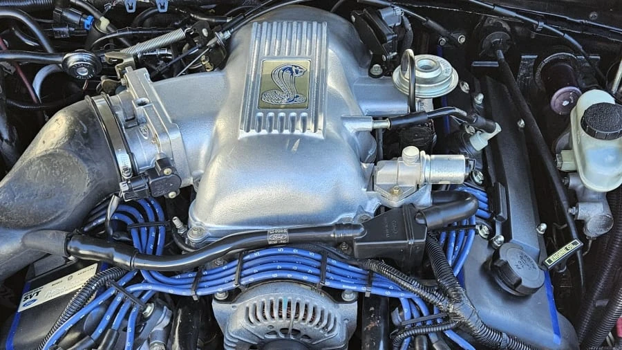 1998 Ford SN95 Mustang Cobra - Image 11 of 13