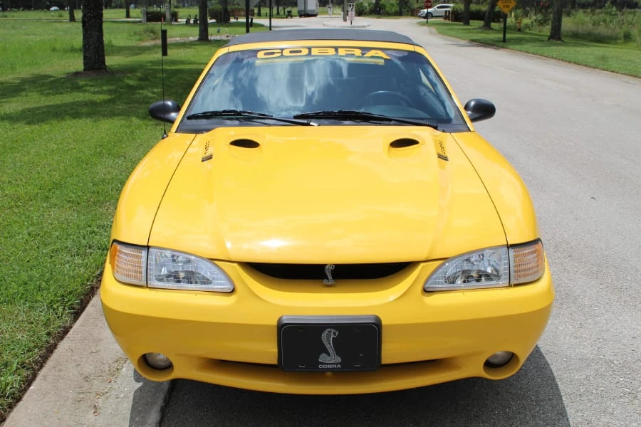 1998 Ford SN95 Mustang Cobra - Image 10 of 31