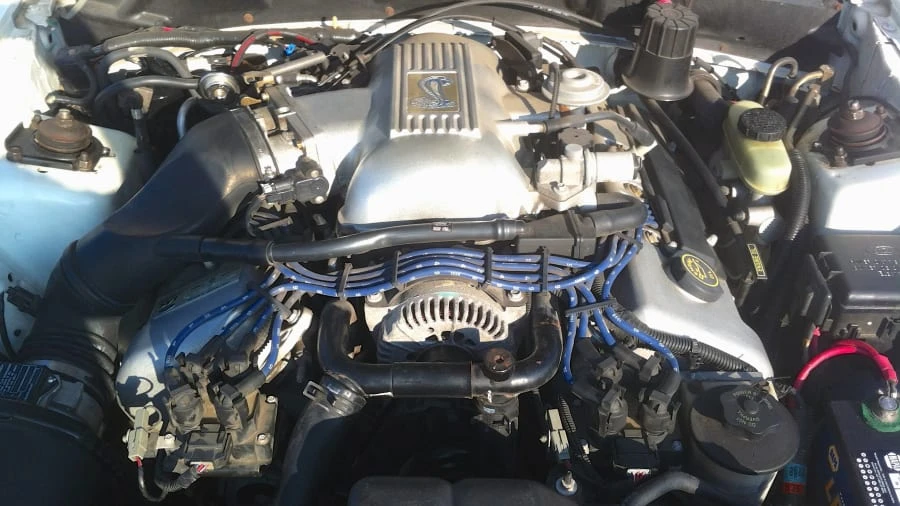 1998 Ford SN95 Mustang Cobra - Image 7 of 8