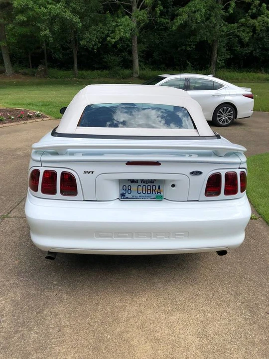 1998 Ford SN95 Mustang Cobra - Image 4 of 6