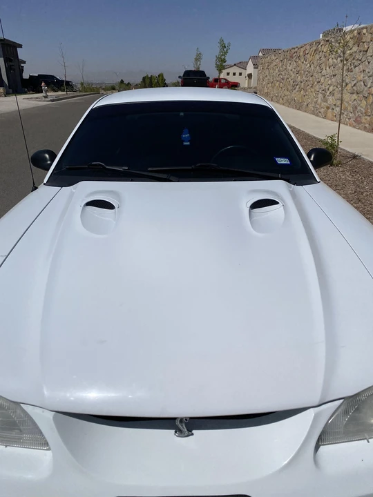1998 Ford SN95 Mustang Cobra - Image 20 of 31