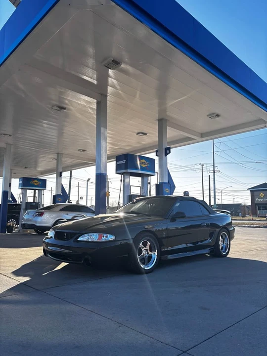 1998 Ford SN95 Mustang Cobra - Image 3 of 8