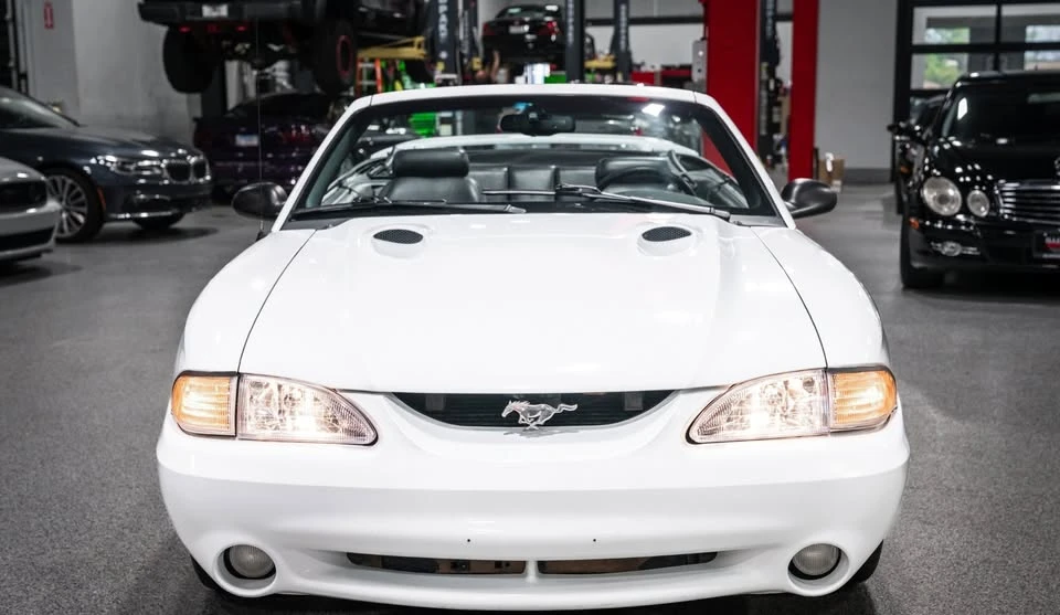 1998 Ford SN95 Mustang Cobra - Image 8 of 20
