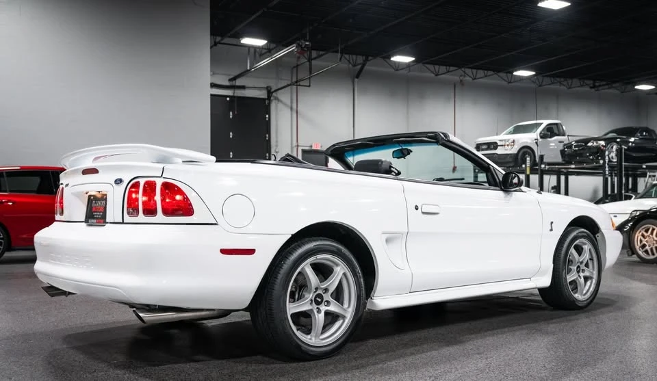1998 Ford SN95 Mustang Cobra - Image 5 of 20
