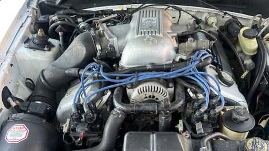 1998 Ford SN95 Mustang Cobra - Image 16 of 17