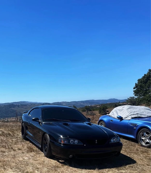 1998 Ford SN95 Mustang Cobra - Image 6 of 6