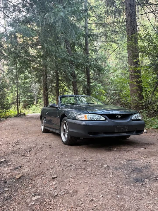 1998 Ford SN95 Mustang - Image 2 of 2