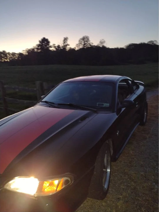 1998 Ford SN95 Mustang - Image 5 of 9