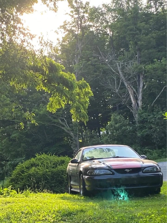 1998 Ford SN95 Mustang - Image 2 of 9
