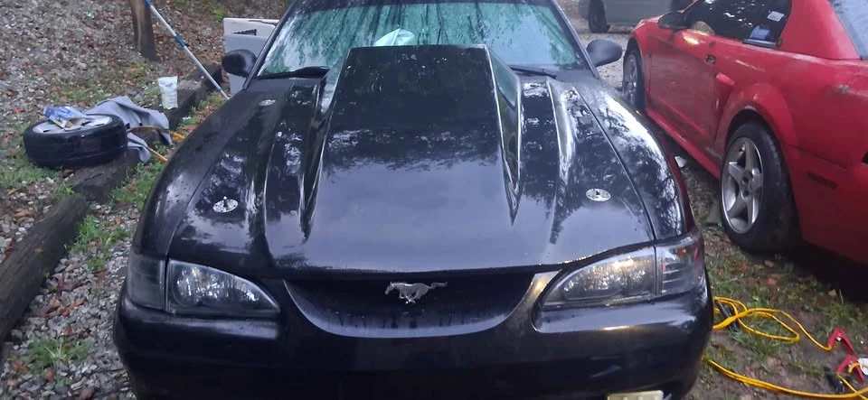 1998 Ford SN95 Mustang - Image 4 of 6