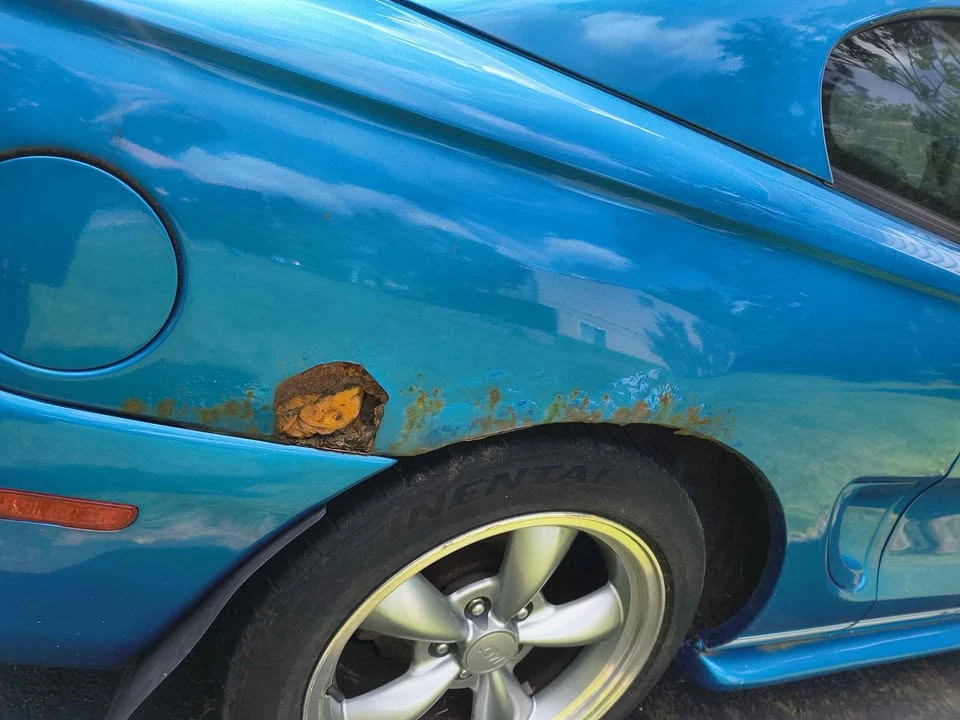 1998 Ford SN95 Mustang - Image 5 of 10