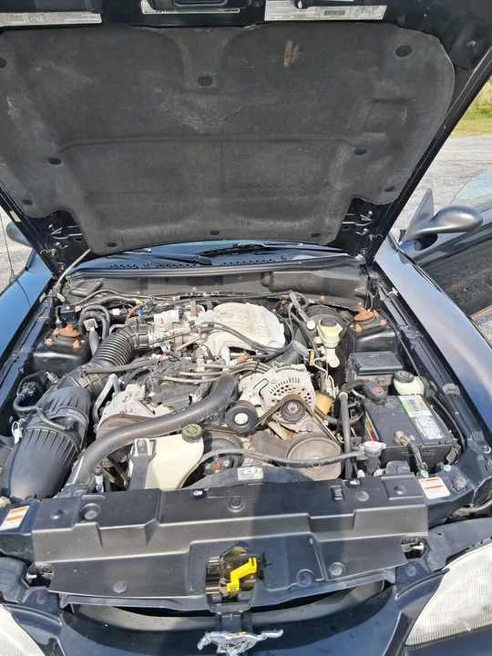 1998 Ford SN95 Mustang - Image 13 of 14