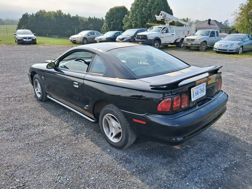 1998 Ford SN95 Mustang - Image 3 of 14