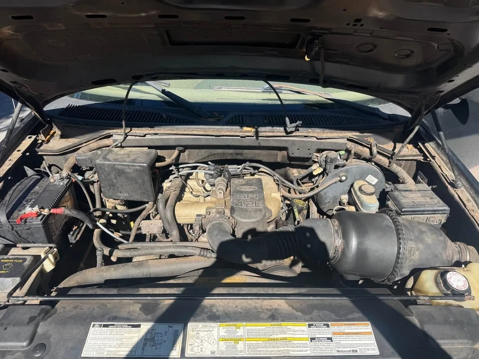 1998 Ford F-150 10th Gen - Image 12 of 12