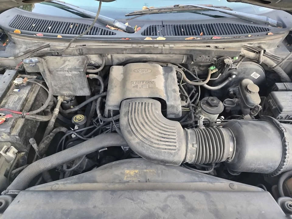 1998 Ford F-150 10th Gen - Image 5 of 6