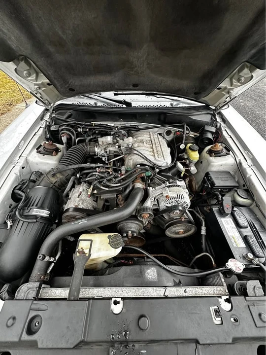 1998 Ford SN95 Mustang - Image 5 of 19