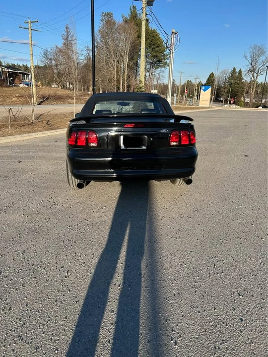 1998 Ford SN95 Mustang - Image 5 of 10