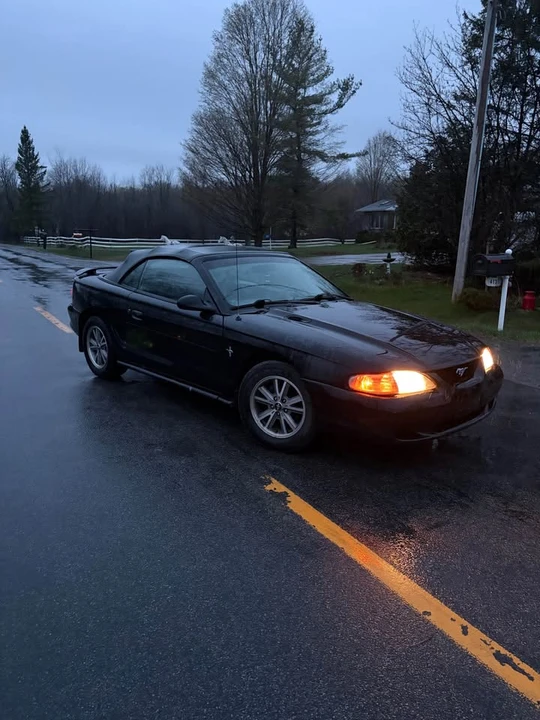 1998 Ford SN95 Mustang - Image 3 of 8