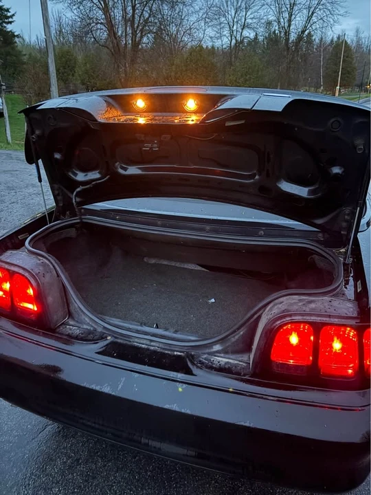 1998 Ford SN95 Mustang - Image 7 of 8