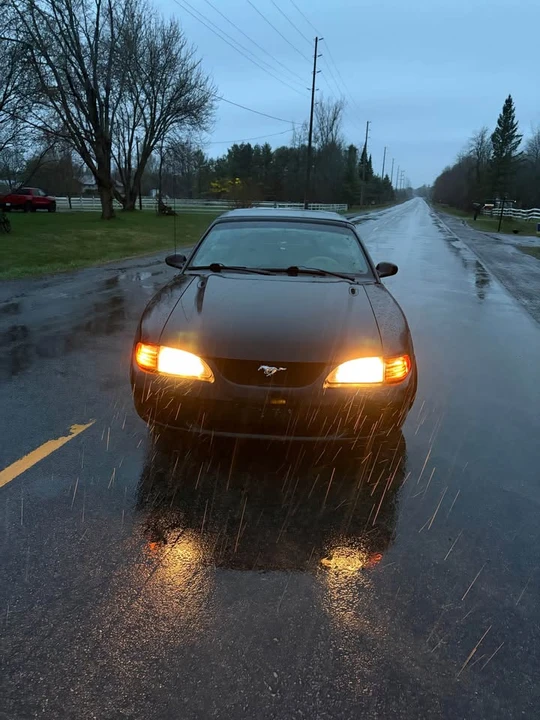 1998 Ford SN95 Mustang - Image 2 of 8