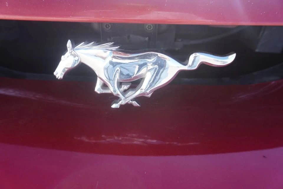 1998 Ford SN95 Mustang - Image 14 of 20