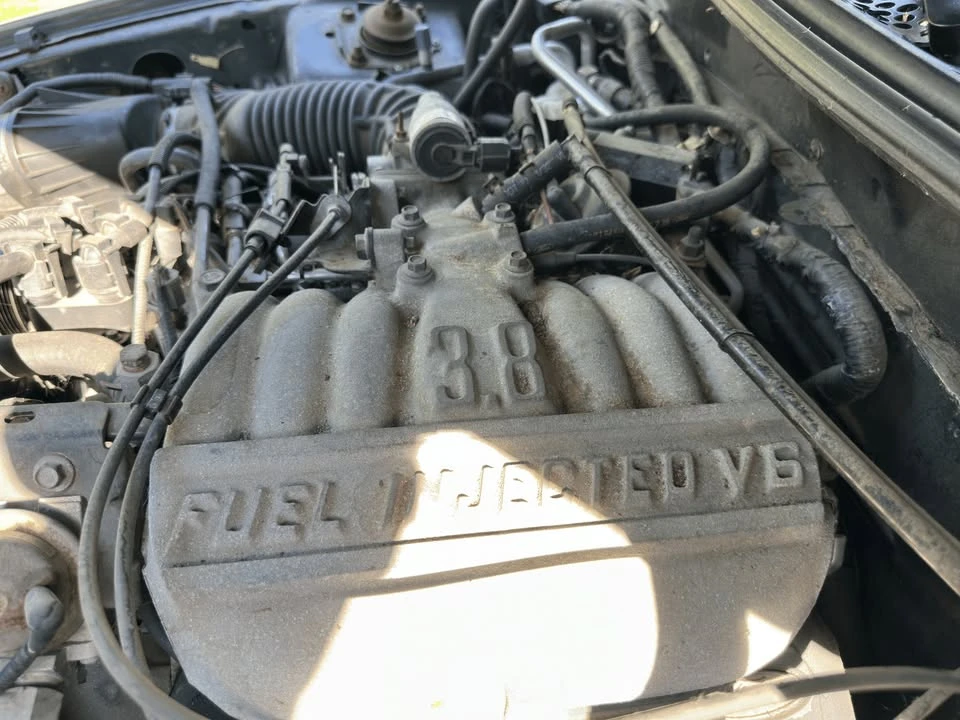 1998 Ford SN95 Mustang - Image 11 of 19