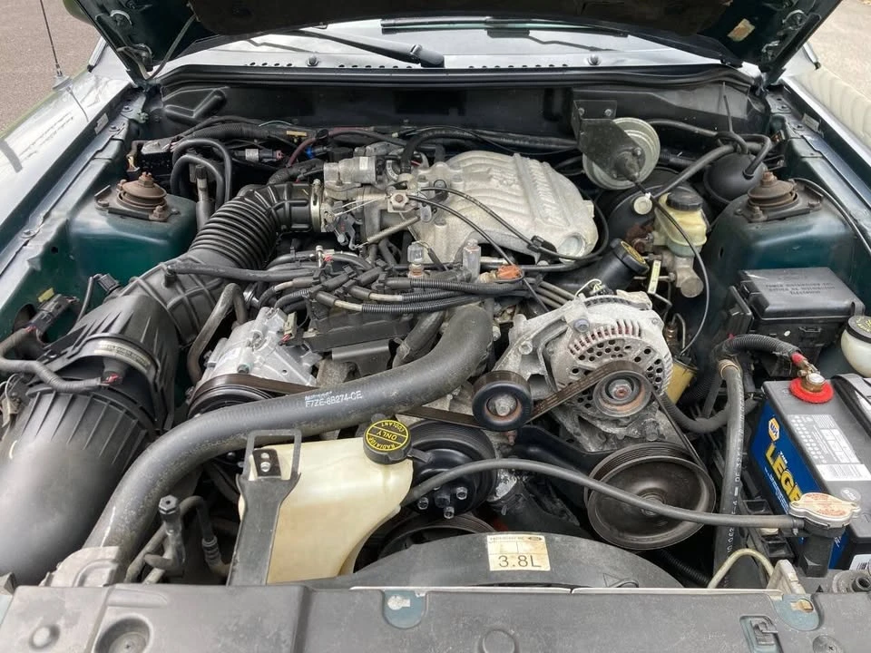 1998 Ford SN95 Mustang - Image 9 of 10