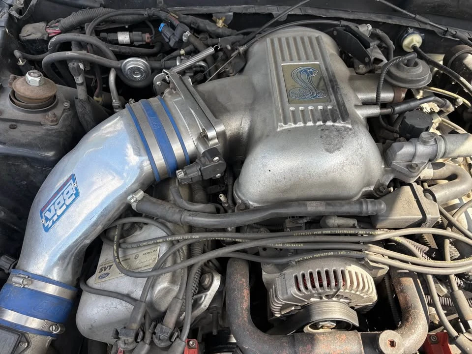 1998 Ford SN95 Mustang - Image 5 of 14