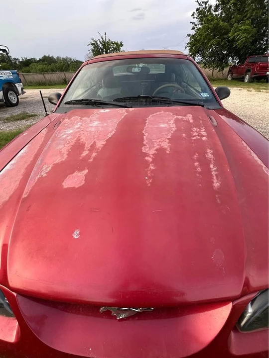 1998 Ford SN95 Mustang - Image 3 of 7