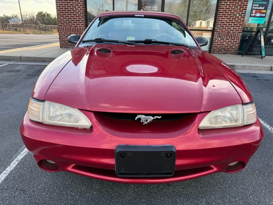 1998 Ford SN95 Mustang Cobra - Image 7 of 19
