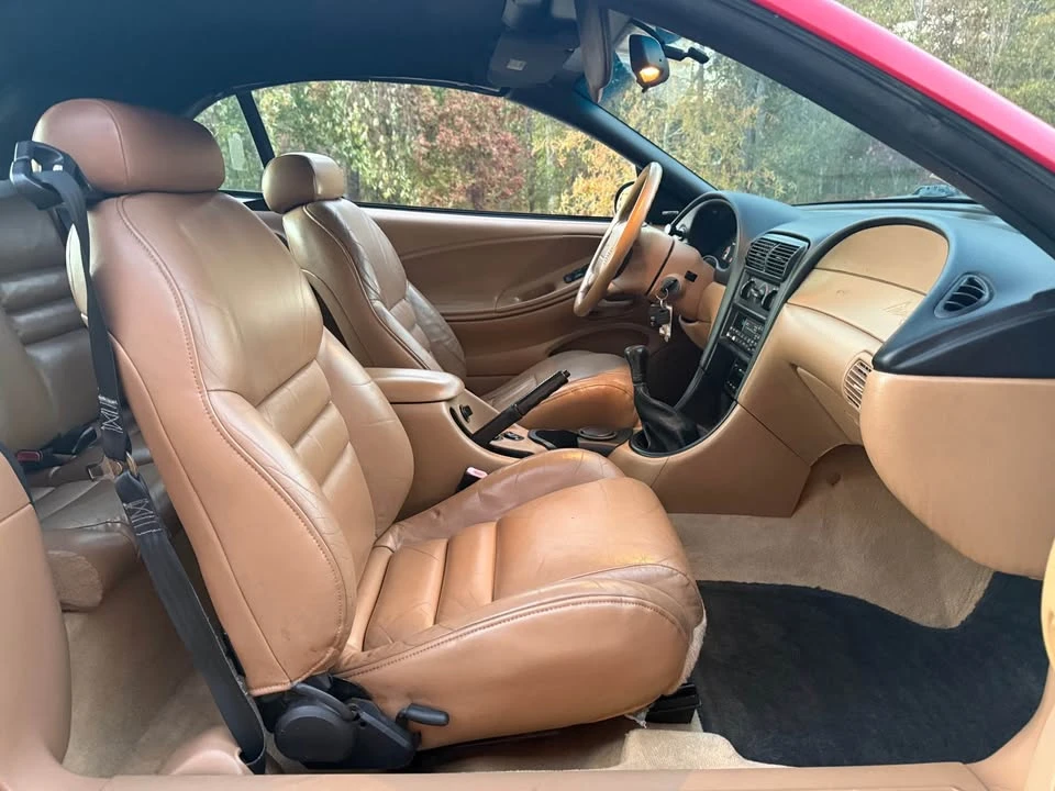 1998 Ford SN95 Mustang Cobra - Image 12 of 19
