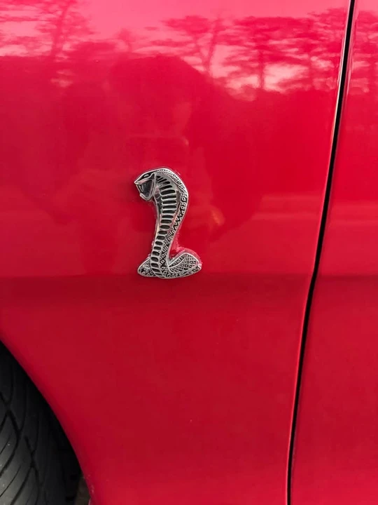 1998 Ford SN95 Mustang Cobra - Image 15 of 19