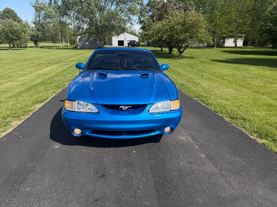 1998 Ford SN95 Mustang Cobra - Image 3 of 17