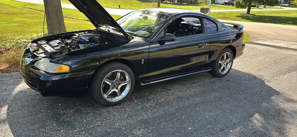 1998 Ford SN95 Mustang Cobra - Image 7 of 8